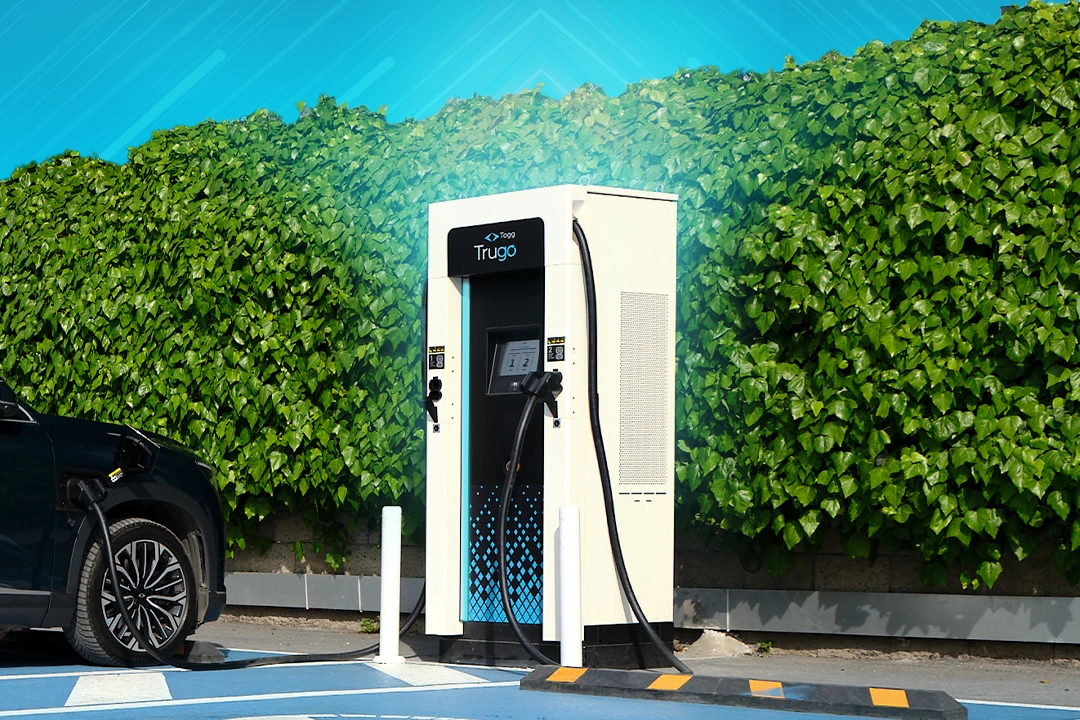 Trugo Üst Üste Üç Aydır Zirvede 