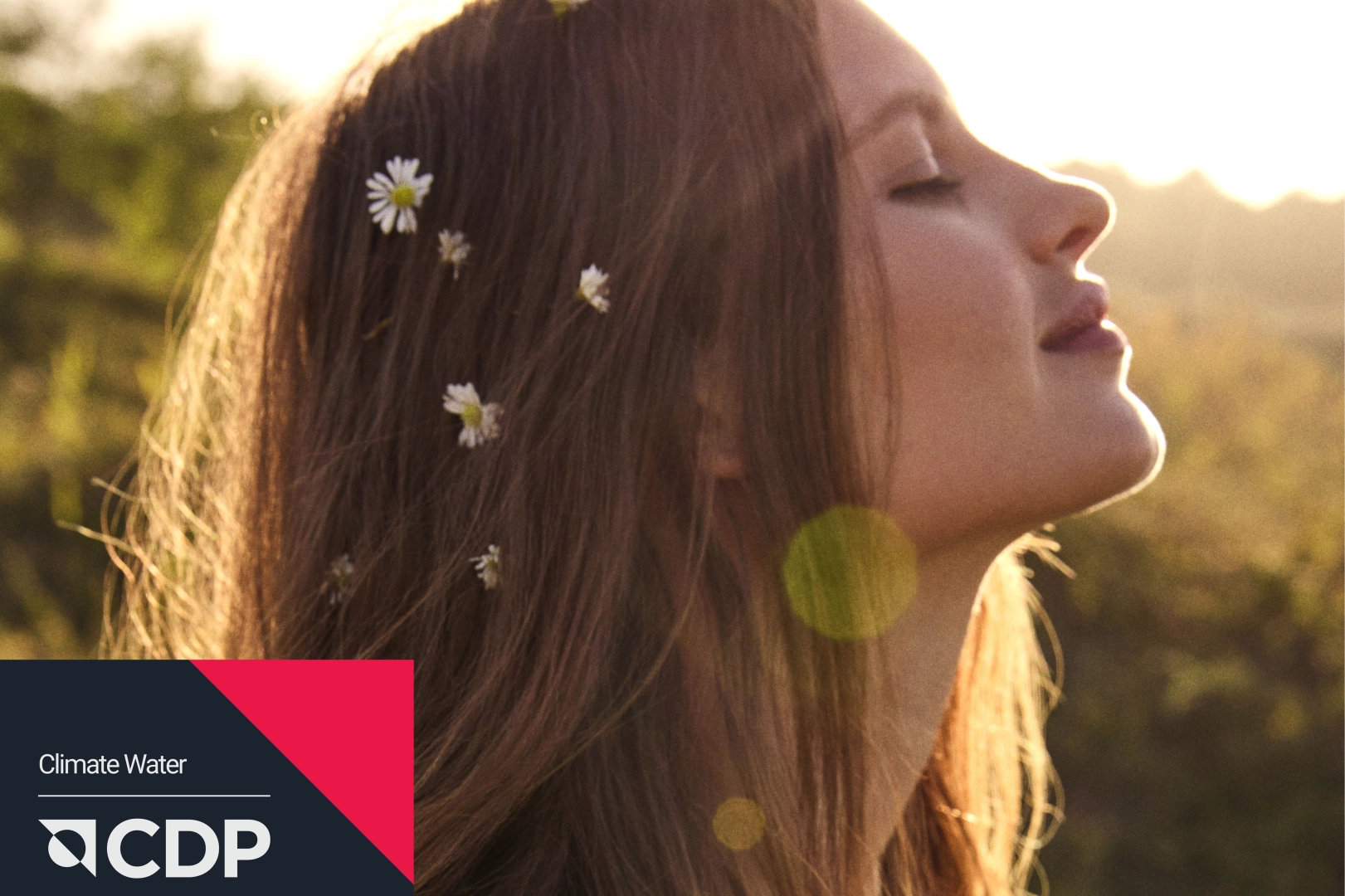 Mavi Bu Yıl Da Global İklim Liderleri Arasında